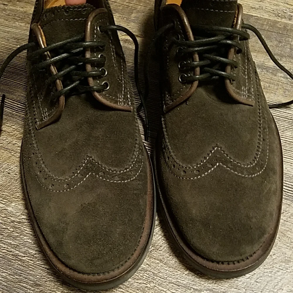 Aquatalia Olive Green Suede Wingtip Oxfords